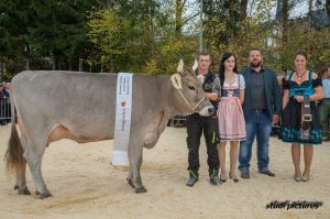 002k-Champion OB Rino Dilia Rene Stalder AR8I8031